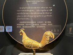 -青海藏文化博物院