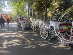 -辛玛王国游乐园