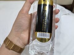 -明月山天沐温泉度假村