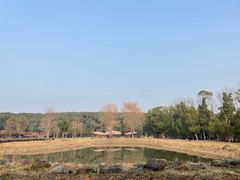 -同里国家湿地公园