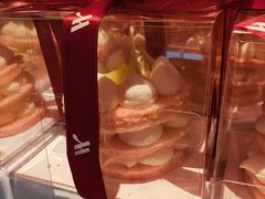 -上海雅居乐万豪侯爵酒店
