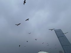 -星海广场