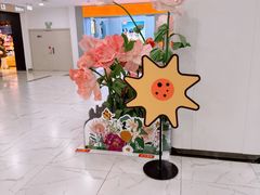 -凯德MALL(望京店)