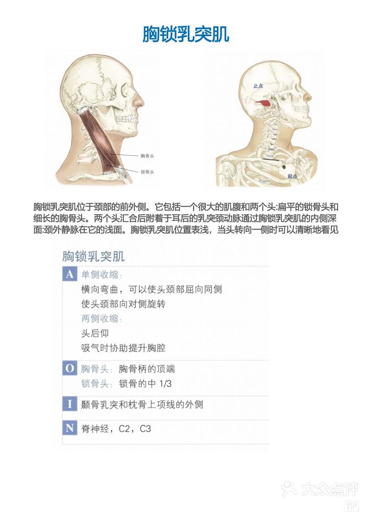 胸锁乳突肌松解手法图片