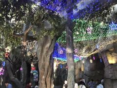 -横店影视城梦幻谷园区