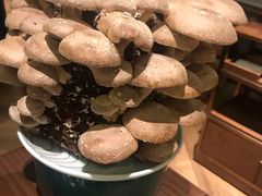 活体菌菇-捞王锅物料理(上海世茂广场店)