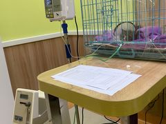 -瑞鹏宠物医院·宠保定点·心脏科·内科(御桥分院)