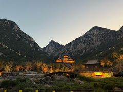 -禅宗少林·音乐大典