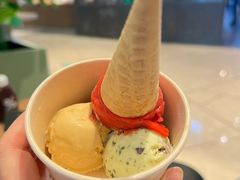 -LUNEURS月乐诗·法式冰淇淋(环贸店)