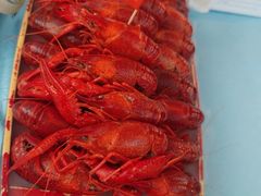 -阳光院坝小龙虾(红牌楼店)