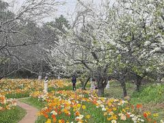 -名花谷生态庄园