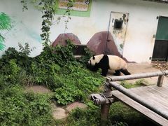 -无锡动物园·太湖欢乐园