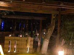 -春晖园度假酒店温泉