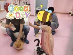 -爪爪喵星球·猫舍(前海卓越店)