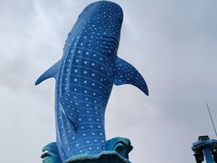 -珠海长隆海洋王国