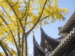 -灵谷景区