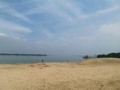 -瑶湖郊野森林公园
