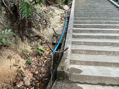 -火炉山森林公园