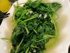 蒜蓉番薯叶-重庆火锅水库鱼庄(南油店)