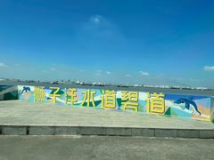 -海鸥岛