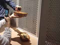 -品腐记·豆腐王朝(老门东总店)