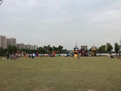 -菊园百果园