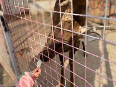 -金庭庄园酒店-停车场