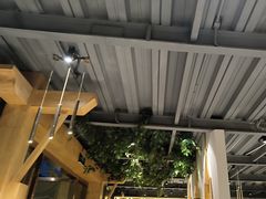 -金塔傣乡·云南民族特色菜·傣味手抓饭(金瓦路店)