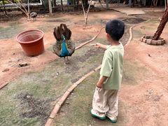 -呀路古热带植物园