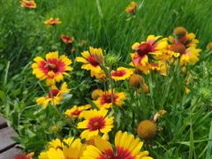 -敕勒川草原文化旅游区