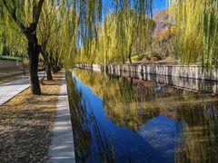 -元大都城垣遗址公园