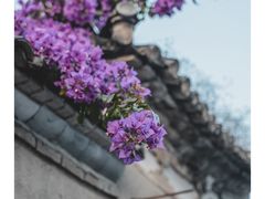 -和顺古镇