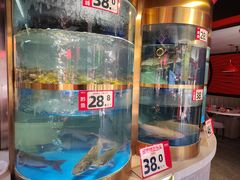 -蜀滋香鲜鱼美蛙火锅(339店)