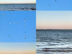 -金梦海湾浴场
