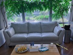 -精德口腔·种植修复·儿牙中心(财富中心店)