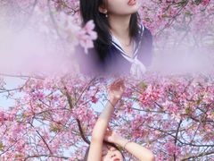 -天适樱花悠乐园