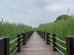 -苏州太湖湖滨国家湿地公园