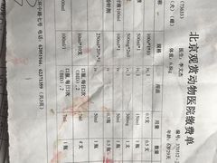 -北京观赏动物医院·24小时大型综合·猫专科·异宠专科