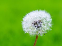 -西塔斗牛家烧烤(中海寰宇店)