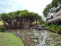 -中国科学院西双版纳热带植物园