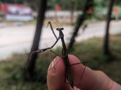 -湖洞水自然风景区