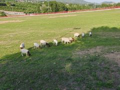 -蓟县盘山滑雪场