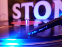 -ZING鲸鱼啤酒(葡萄院店)