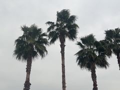 -东钱湖旅游度假区