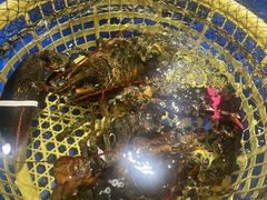 十三香煮波龙-79号渔船海鲜饭店(华强北店)