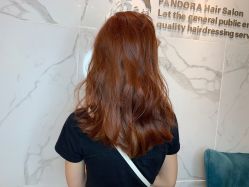 -潘多拉Hairsalon