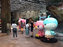 -杭州开元森泊度假乐园