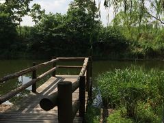 -新江湾城公园