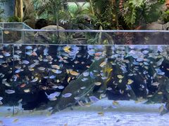 -上海海洋水族馆