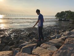 -宝安西湾红树林湿地公园